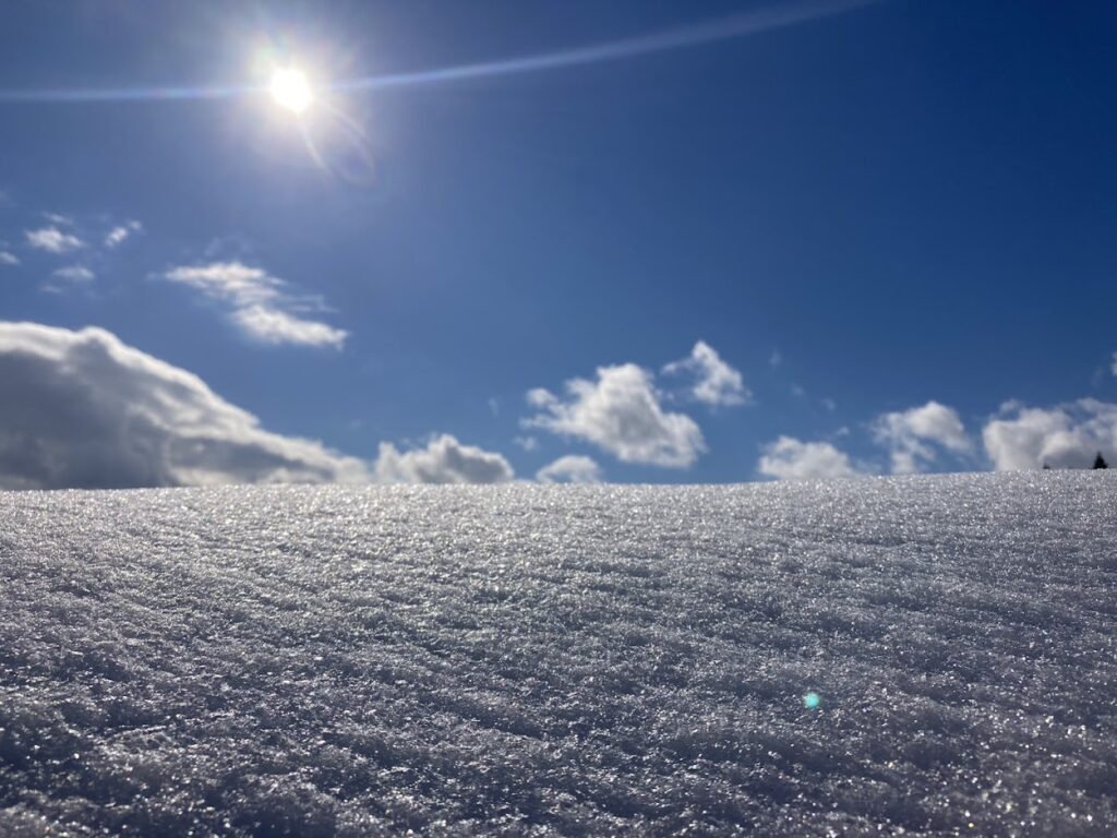 残雪